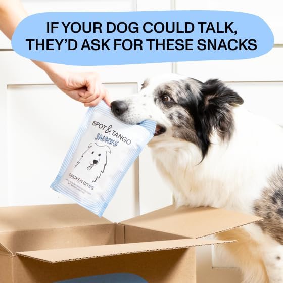 Spot & Tango Chicken Bites Dog Treats - Single Ingredient, 100% Chicken Breast - Freeze-Dried Treats - Grain & Gluten-Free - USA-Made - for Small, Medium, and Large Dogs