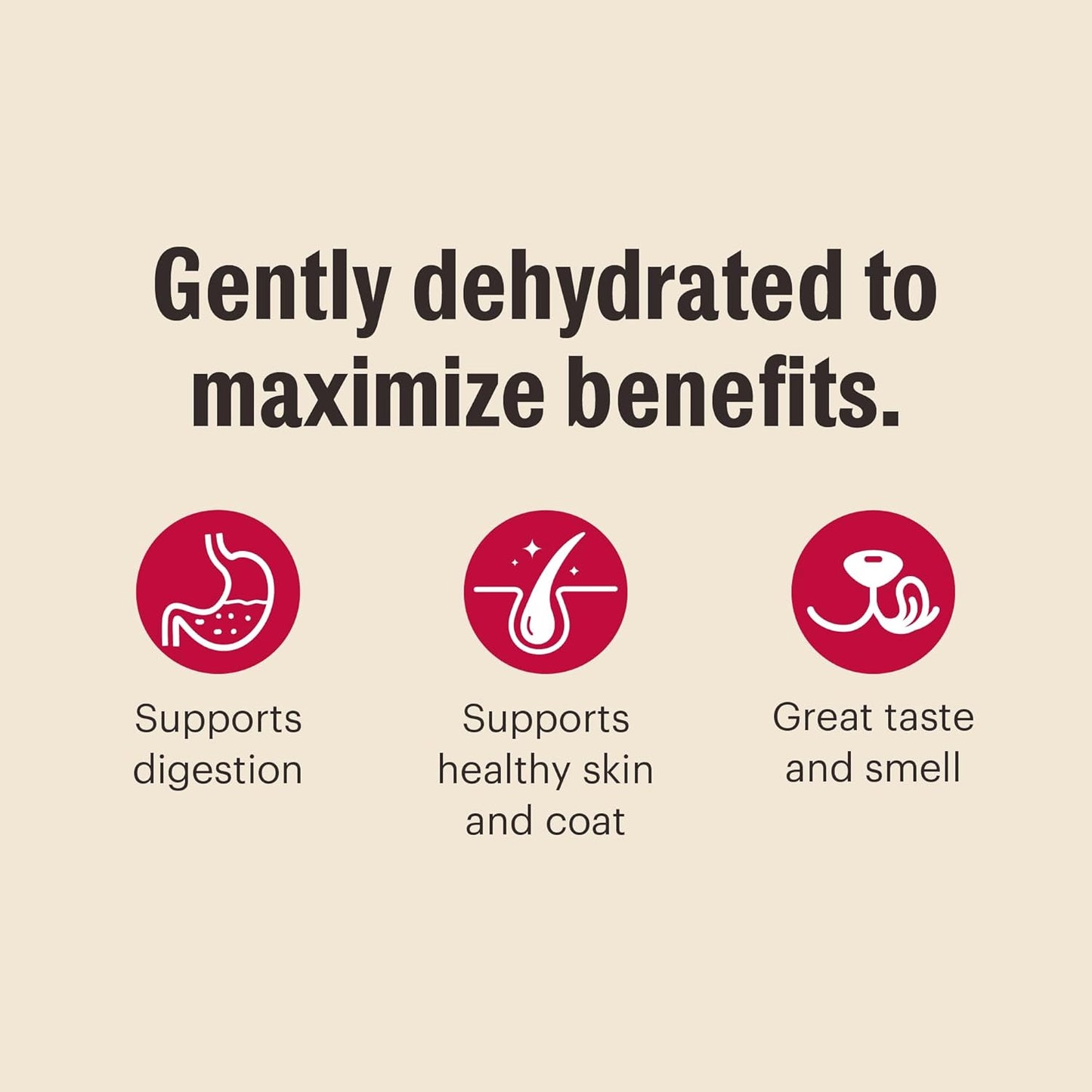 The Honest Kitchen Wholemade™ Grain Free Beef Dog Food, 7 lb Box