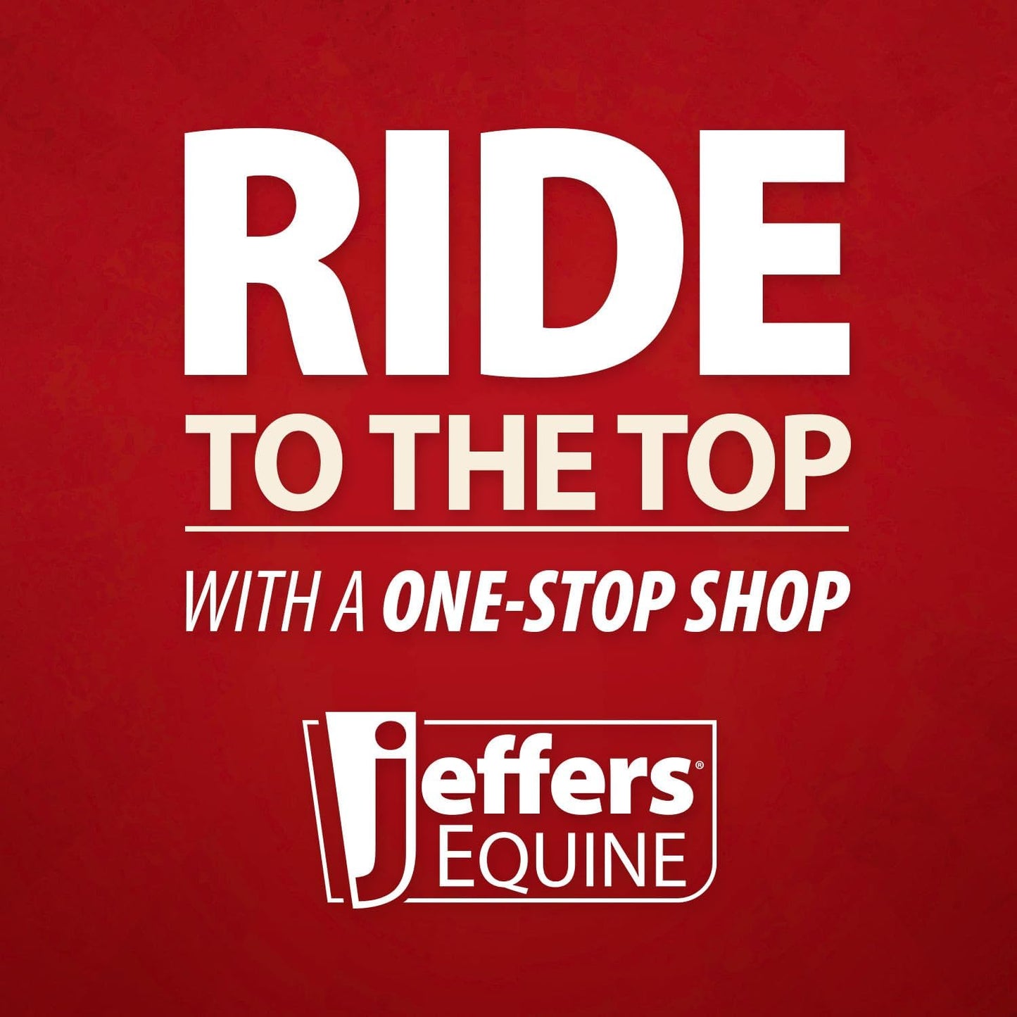 Jeffers Equine Mini Horse Halter – 3/4" Nylon Adjustable Halter for Miniature Horses, Ponies, Under 300 lbs – Heavy Duty Hardware, Secure Fit for Training, Turnout, Grooming, Travel – Red