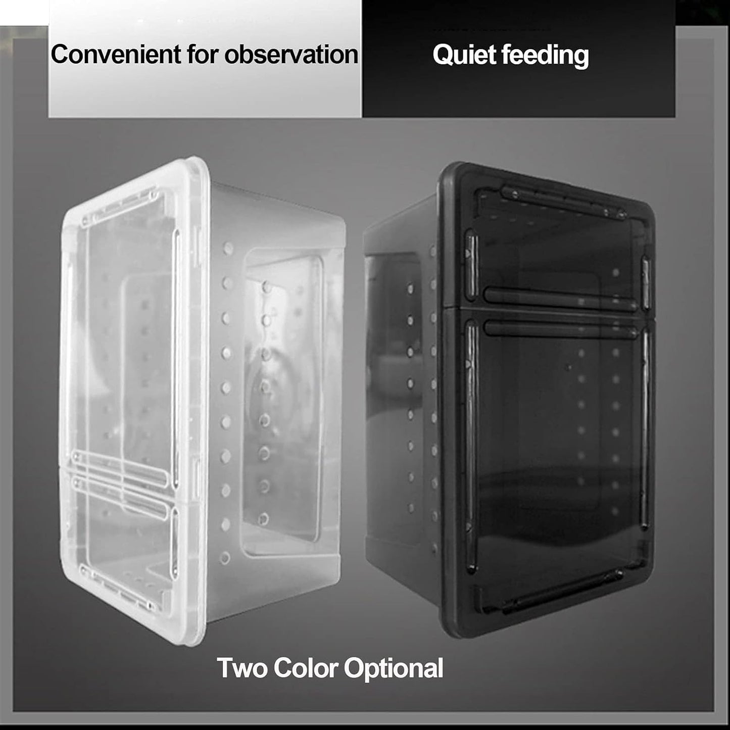 kathson Reptile Snake Feeding Box Breeding Hatching Container Lizard Tarantula Habitat Portable Transparent Plastic Mini Pet Houses for Spider Scorpion Gecko (White)