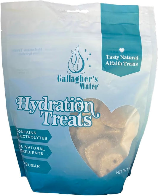 GALLAGHER'S WATER Hydration Treats for Horses. Crunchy Tasty Treats with Electrolytes. 12oz Bag