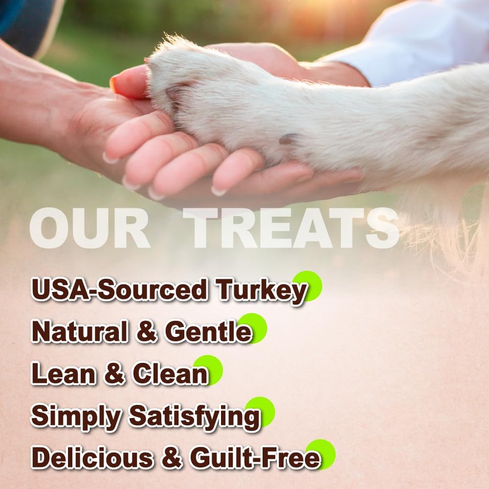 AFreschi Turkey Tendons for Dogs, USA-Sourced, Healthy Dog Treats, Rawhide-Free Puppy Chews, Long Lasting, All Natural, Hypoallergenic Dog Treats, Classic Series, Coil (L), 3 oz Pack