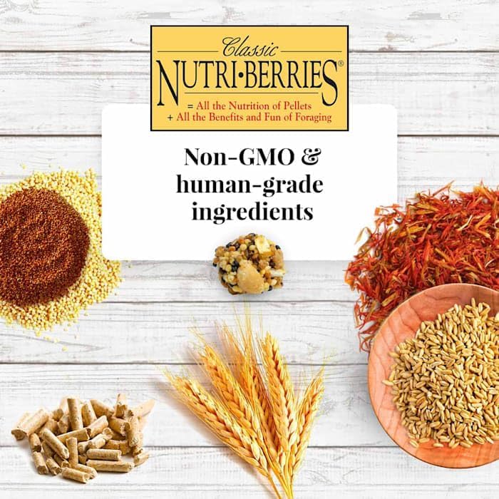 LAFEBER'S Classic Nutri-Berries Pet Bird Food, Made with Non-GMO and Human-Grade Ingredients, for Parrots, 3.25 lb