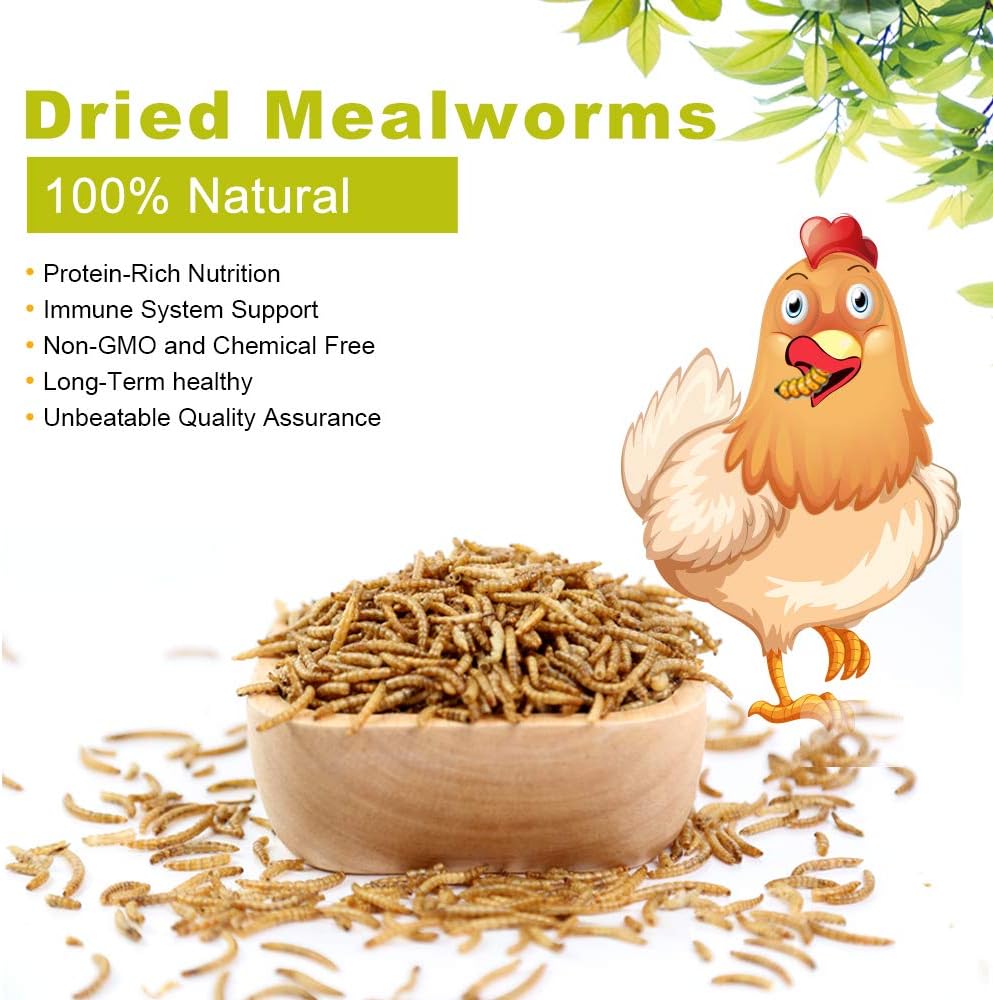 Dried Mealworms, High-Protein Bulk Mealworms 22Lbs, 100% Non-GMO Mealworm Treats for Birds, Chickens, Turtles, Fish, Hamsters and Hedgehogs All Natural Animal Feed