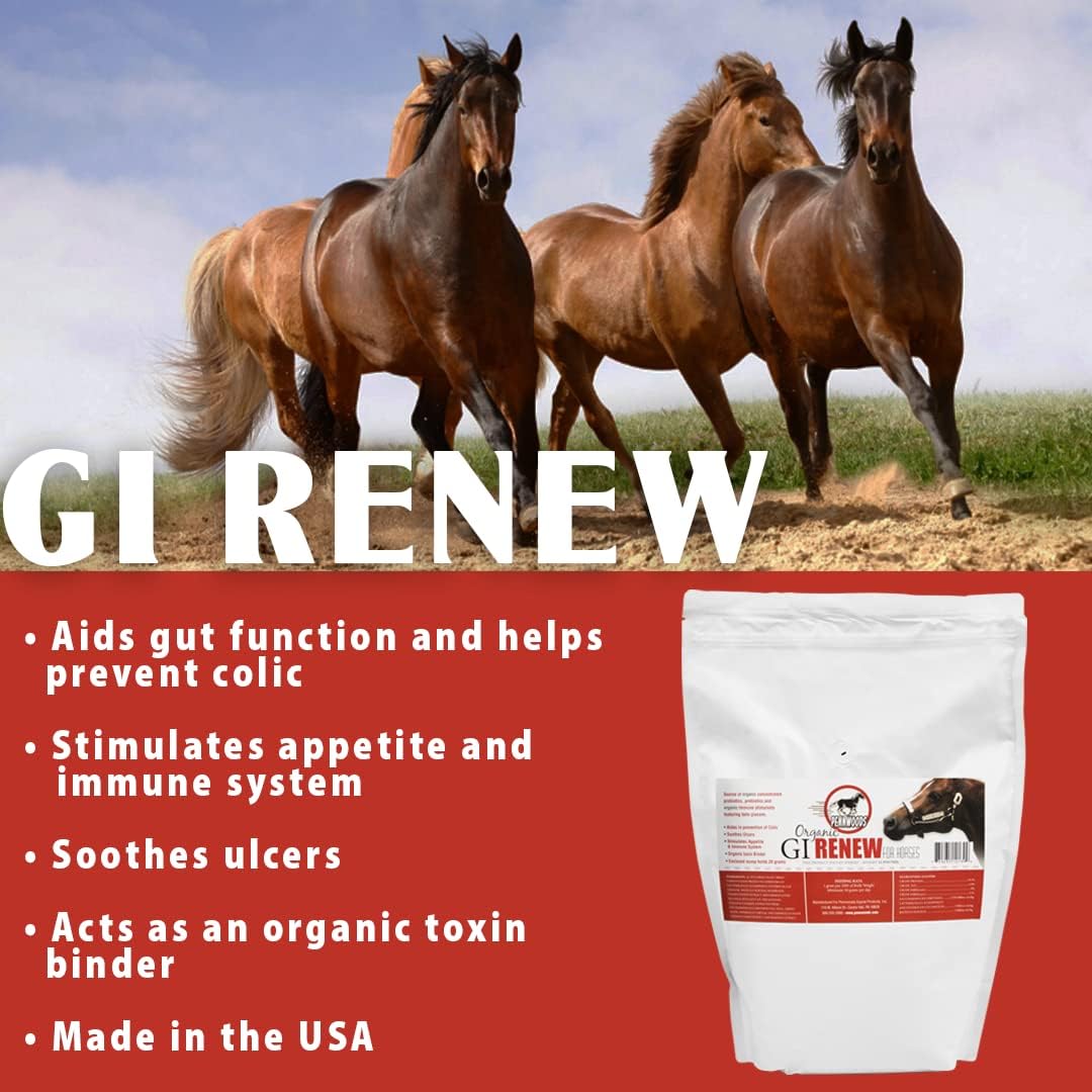 GI Renew, Probiotics for Equine, Immune and Appetite Stimulation, Prebiotics, Digestive Enzymes | Horse Supplement Providing Ulcer Relief and Organic Toxin Binder, 5 LB Pouch