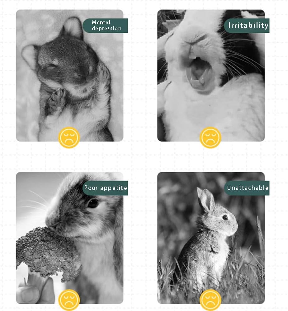 Rabbit Toys 30Pcs 3 Flavours for Teeth Grinding - Chew Toys for Hamsters, Guinea Pigs, Chinchillas