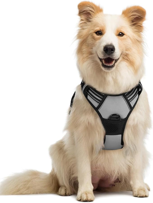 rabbitgoo Dog Harness No Pull with 2 Leash Clips, Adjustable Soft Padded, Reflective Oxford No Choke Pet Vest with Easy Control Handle for Medium Sized Dogs, Grey, M