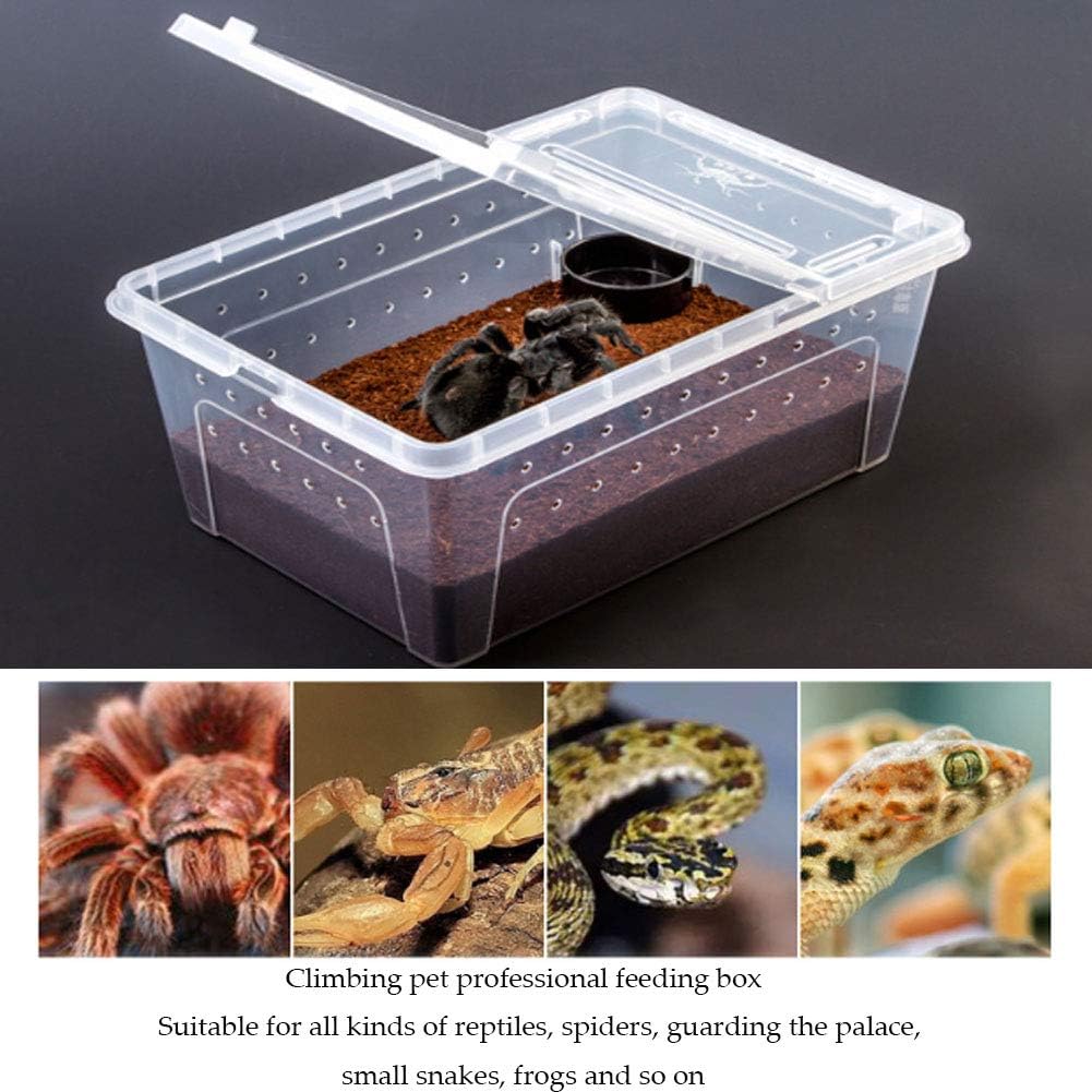 Hamiledyi Reptile Feeding Box Lizard Tarantula Habitat Cage Hatching Container Snake Breeding Box Transparent Portable Plastic Mini Pet Houses for Scorpion Spider Frog