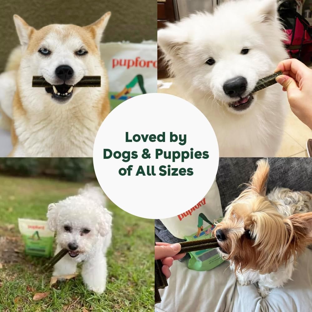 Pupford Dental Chews for Dogs, All-Natural 4-Inch Sticks for Plaque, Tartar & Bad Breath, Grooved Texture, Limited Ingredients, Made in USA (14 Count)