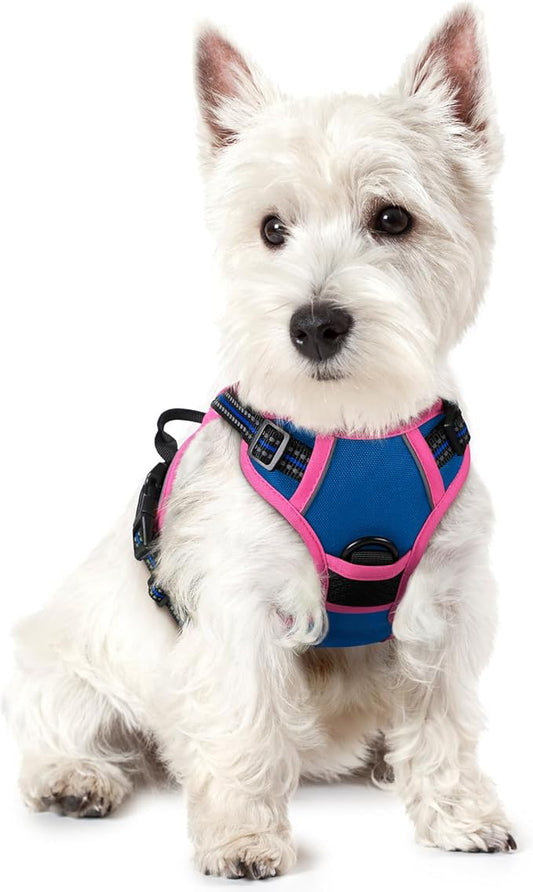 rabbitgoo Dog Harness No Pull with 2 Leash Clips, Adjustable Soft Padded, Reflective Oxford No Choke Pet Vest with Easy Control Handle for Large Dogs, Blue & Hot Pink, XS