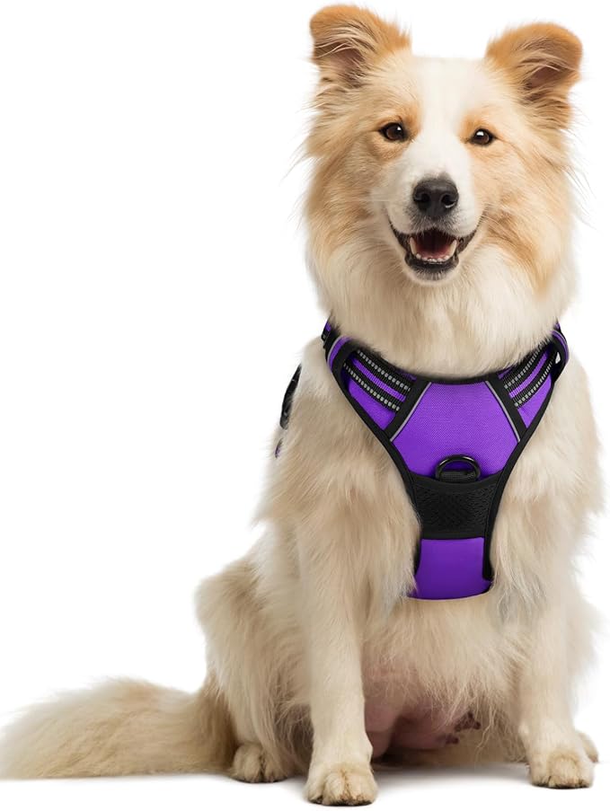 rabbitgoo Dog Harness No Pull with 2 Leash Clips, Adjustable Soft Padded, Reflective Oxford No Choke Pet Vest with Easy Control Handle for Medium Sized Dogs, Purple, M