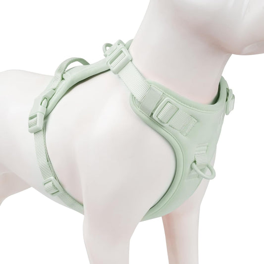 No Pull Dog Harness, Puppy Vest with Front Clip for Small Medium Large Sized Dog(Light Green,XS)