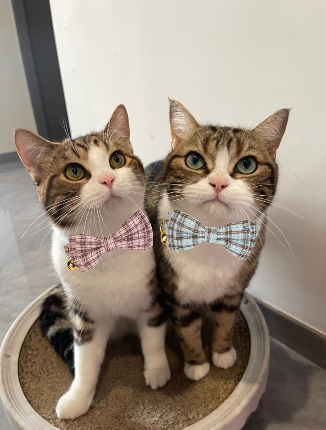 2 Pack Soft Cotton Cat Collars with Bowtie and Bell Breakaway Plaid Cat Kitten Collar(Pink and Jade Green)