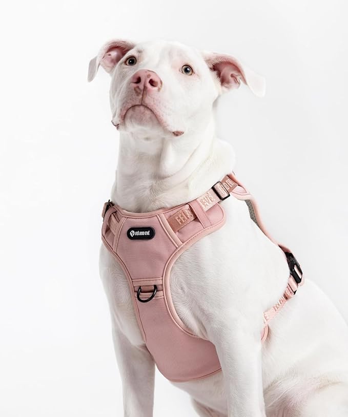2025 New Edition, Fei & Eve MagEase Dog Harness - 3-Second Magnetic Buckles | 3-Point No-Pull Control | Heavy-Duty 900D Nylon | Dual Safety Handles | Breathable Mesh | Adjustable Fit | X-Large, Pink