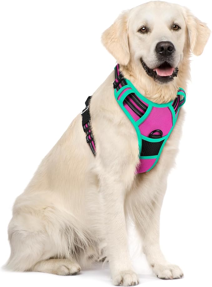 rabbitgoo Dog Harness No Pull with 2 Leash Clips, Adjustable Soft Padded, Reflective Oxford No Choke Pet Vest with Easy Control Handle for Large Dogs, Hot Pink & Turquoise, XL