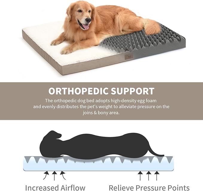 Orthopedic Dog Bed for Large Dogs, Washable Dog Bed for Large Sized with Egg Crate Foam Pet Mat, Removable Oxford Cover, Khaki White