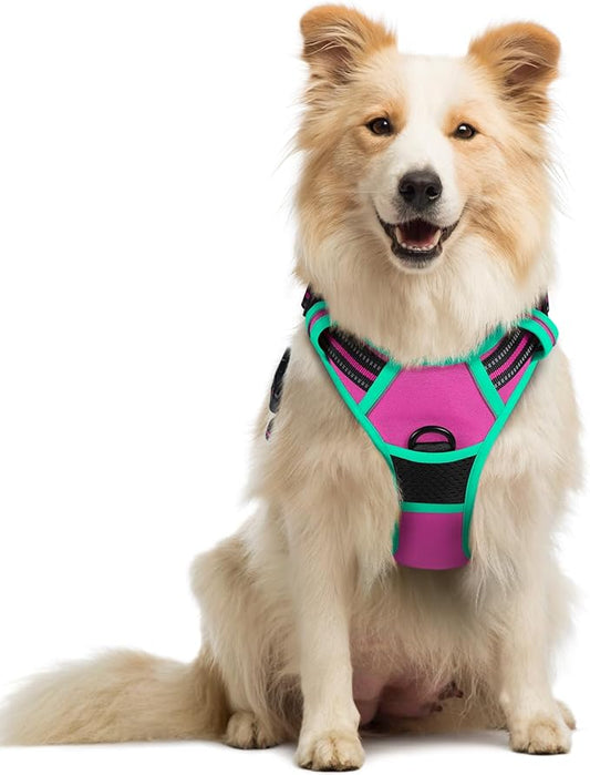rabbitgoo Dog Harness No Pull with 2 Leash Clips, Adjustable Soft Padded, Reflective Oxford No Choke Pet Vest with Easy Control Handle for Large Dogs, Hot Pink & Turquoise, M