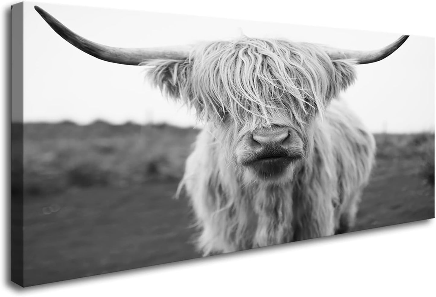 XXMWallArt FC3662 Highland Cow Canvas Art - Black and White Animal Wall Decor for Living Room, Bedroom, Office