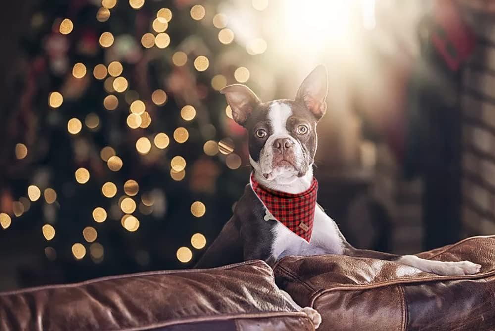 Lionet Paws Reversible Washable Cotton Dog Bandana - Red & Tree Patterns, Adjustable Square Kerchief for Small to Large Dogs