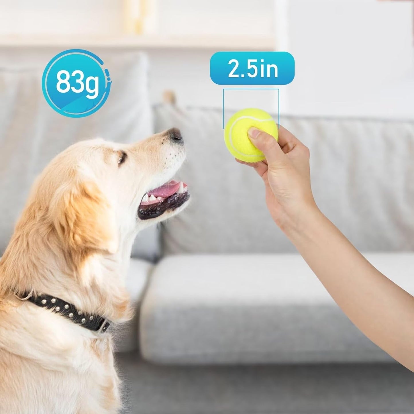 Prime Pets Tennis Balls for Dogs, 2.5 Inch Thick Bouncy Dog Ball, Interactive Dog Toys for Indoor Outdoor, Fetch Balls for Medium, Large Dogs