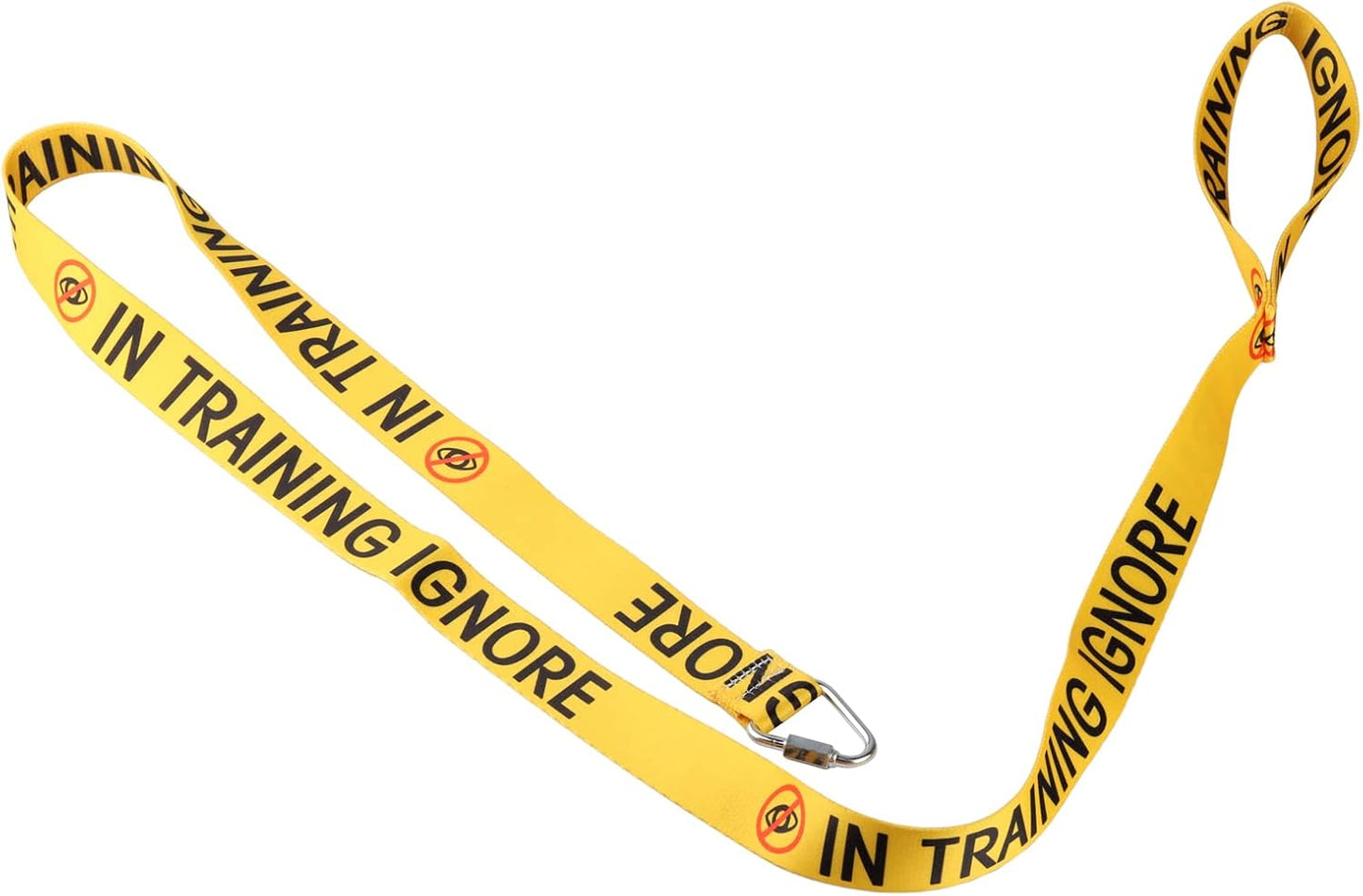 Funny Dog Leash for Training, Ignore & Walking - Owner & Pet Lover Gift (In Training Ignore-YE)