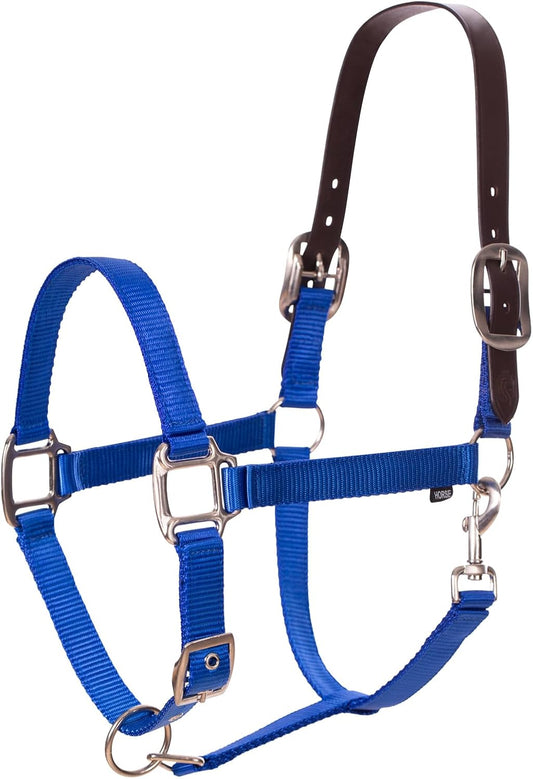 Equinavia Loki Adjustable Breakaway Horse Halter - Royal Blue - Pony