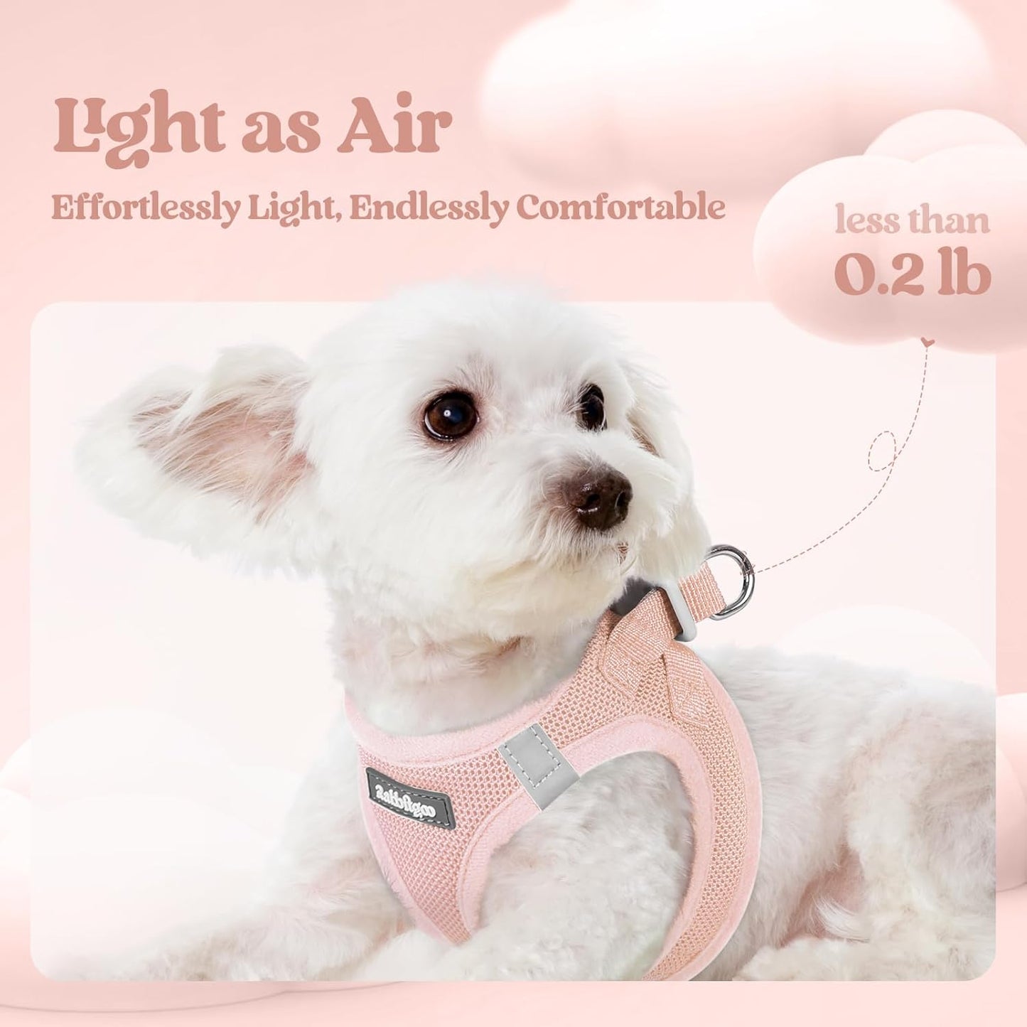 rabbitgoo Dog Harness Small Sized and Leash Set, Step in Soft Light Puppy Vest, Breathable Mesh Pet Harness, Reflective for Safe Outdoor Walking, Pink M