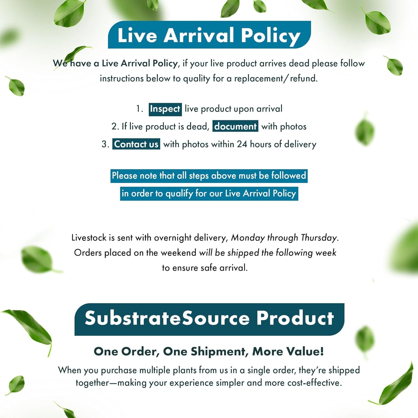 SubstrateSource Live Aquarium Red Stem Plants - Freshwater Aquatic Plant for Fish Tanks, Aquascaping - (Rotala Blood, 4 Bunches)