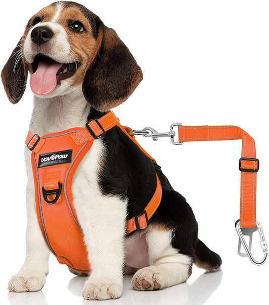 Dog Seat Belt Harness for Car, Dog Car Harness Adjustable Mesh Breathable & Dogs Seatbelt Safety Tether with Elastic Bungee for Small Medium Large Pets(Orange, S)