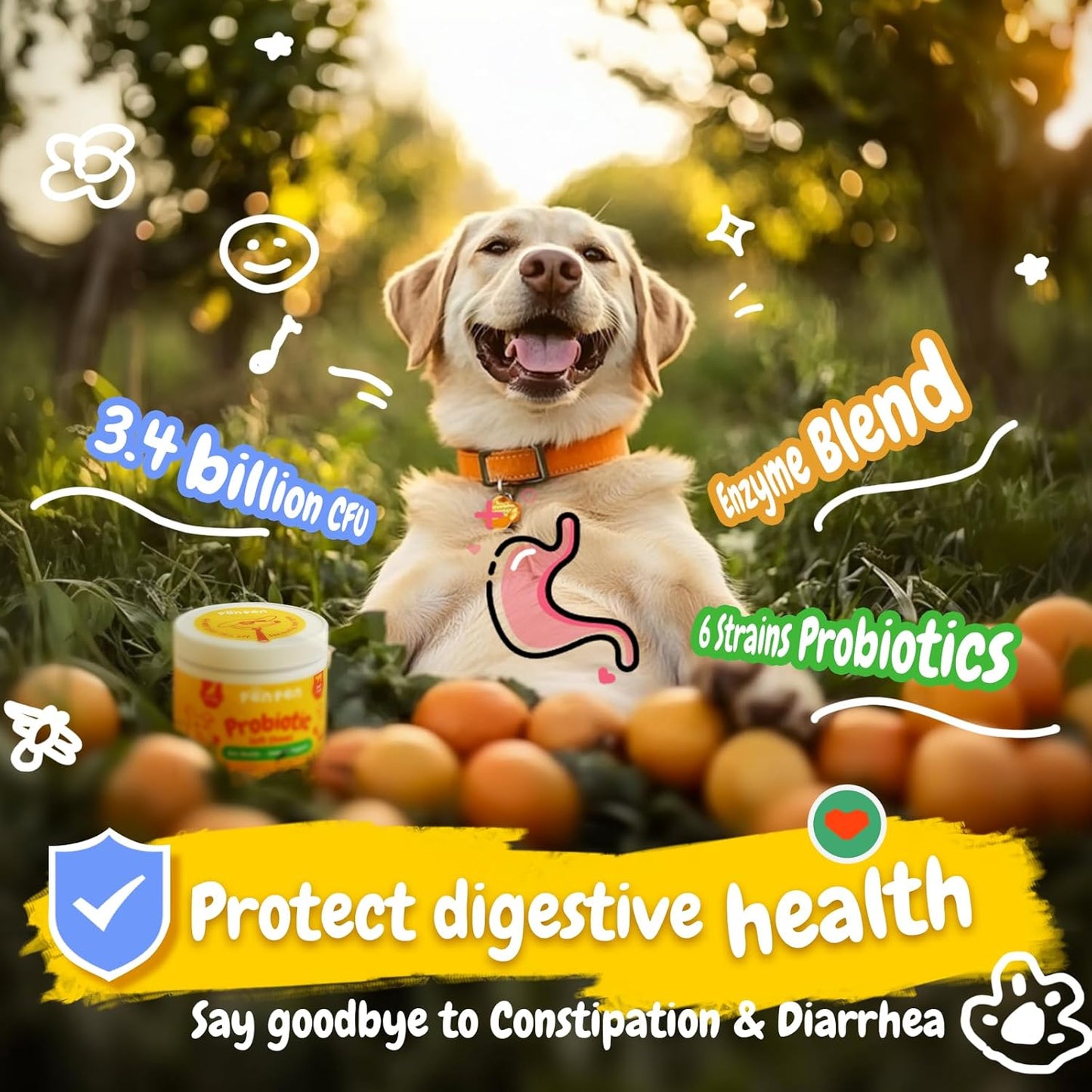 Penpen Probiotics for Dogs, Dogs Probiotics for Digestive Health, Multi-Probiotic and Enzyme Blend Promote Gut Health & Immune Support, Eases Sensitive Stomachs (Beef Chews, 50ct)