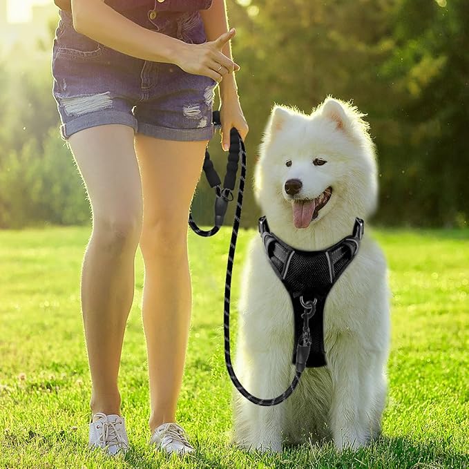 BARKBAY Dog Harness No Pull with ID Tag Pocket - Heavy Duty, Reflective, Easy Control for Large Dogs(Black,XL)