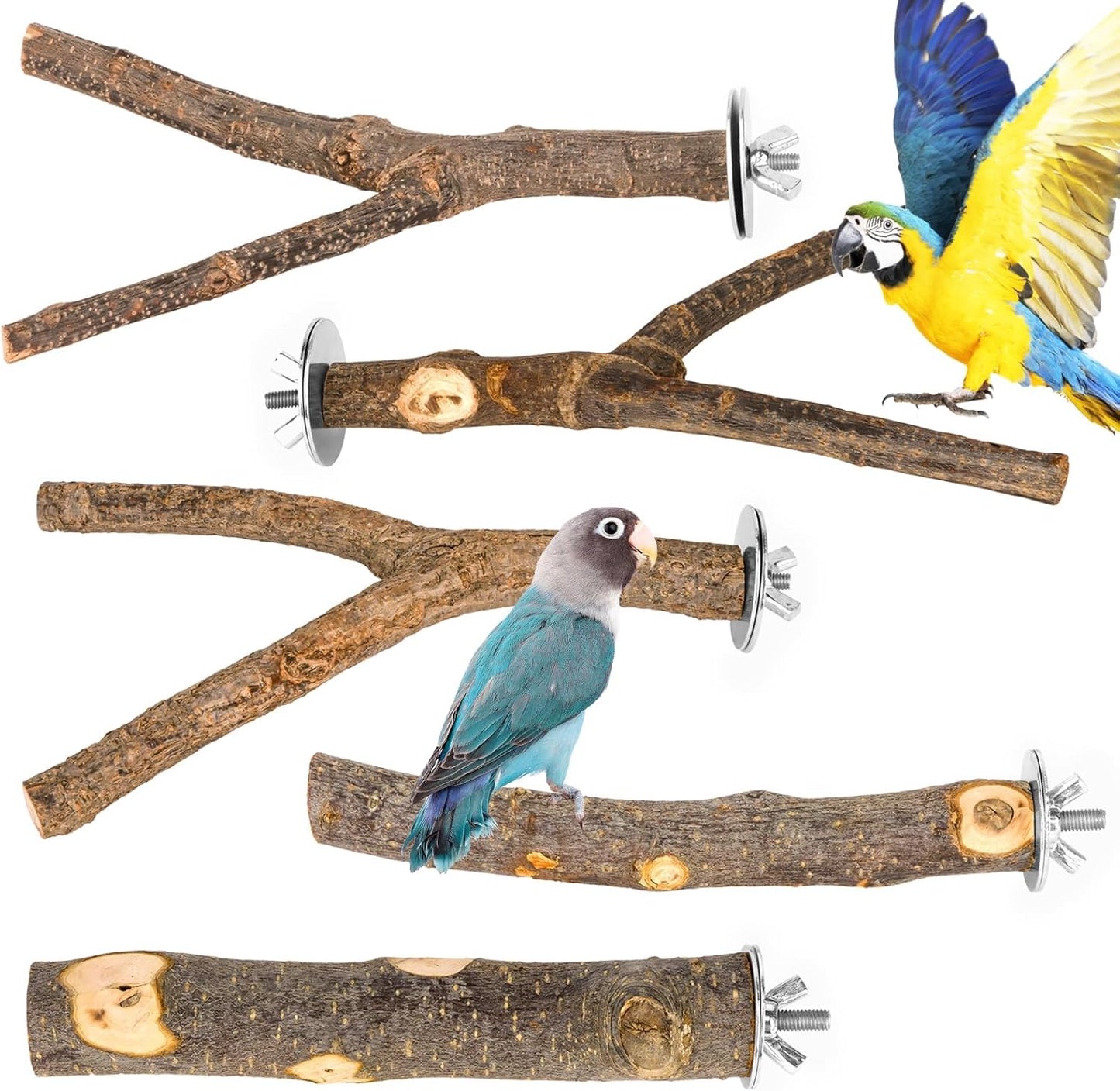 Natural Wood Bird Perches for Cage, Parrot Perch Stand & Platform, Bird Cage Accessories for Parakeets, Cockatiels, Conures, Lovebirds (Brown, Essential Perch Bundle - 5PCS)