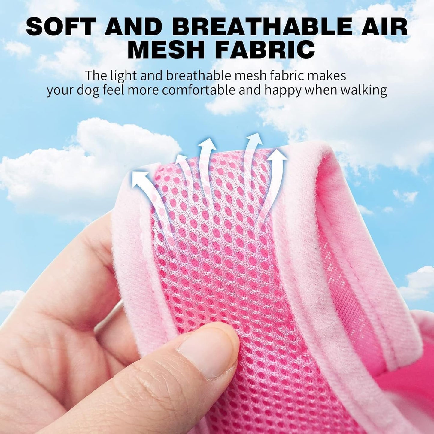 BINGPET Small Dog Harness - Breathable Mesh Puppy Cat Harnesses - No Pull Adjustable Dog Harness Dog Vest Harness for Small and Medium Dogs