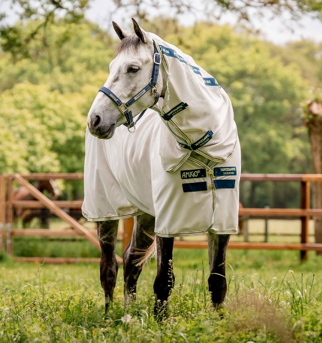 Horseware® Amigo® Bug Rug Fly Sheet (0g Light)