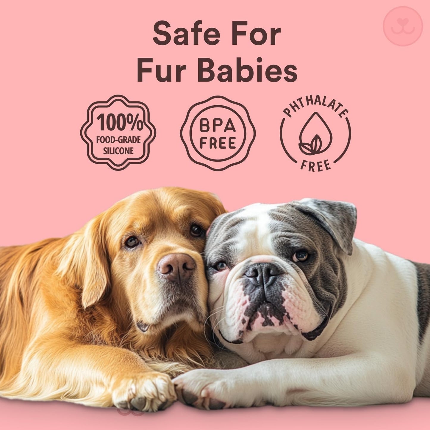 Jasper Dog Toothbrush, 360 Degree Pet Tooth Brushing Kit, Cat Toothbrush, Canine Dental Care & Teeth Cleaning Kit, Pet Finger Tooth Brush, Use with Dog Toothpaste, 4-Pack Multicolor