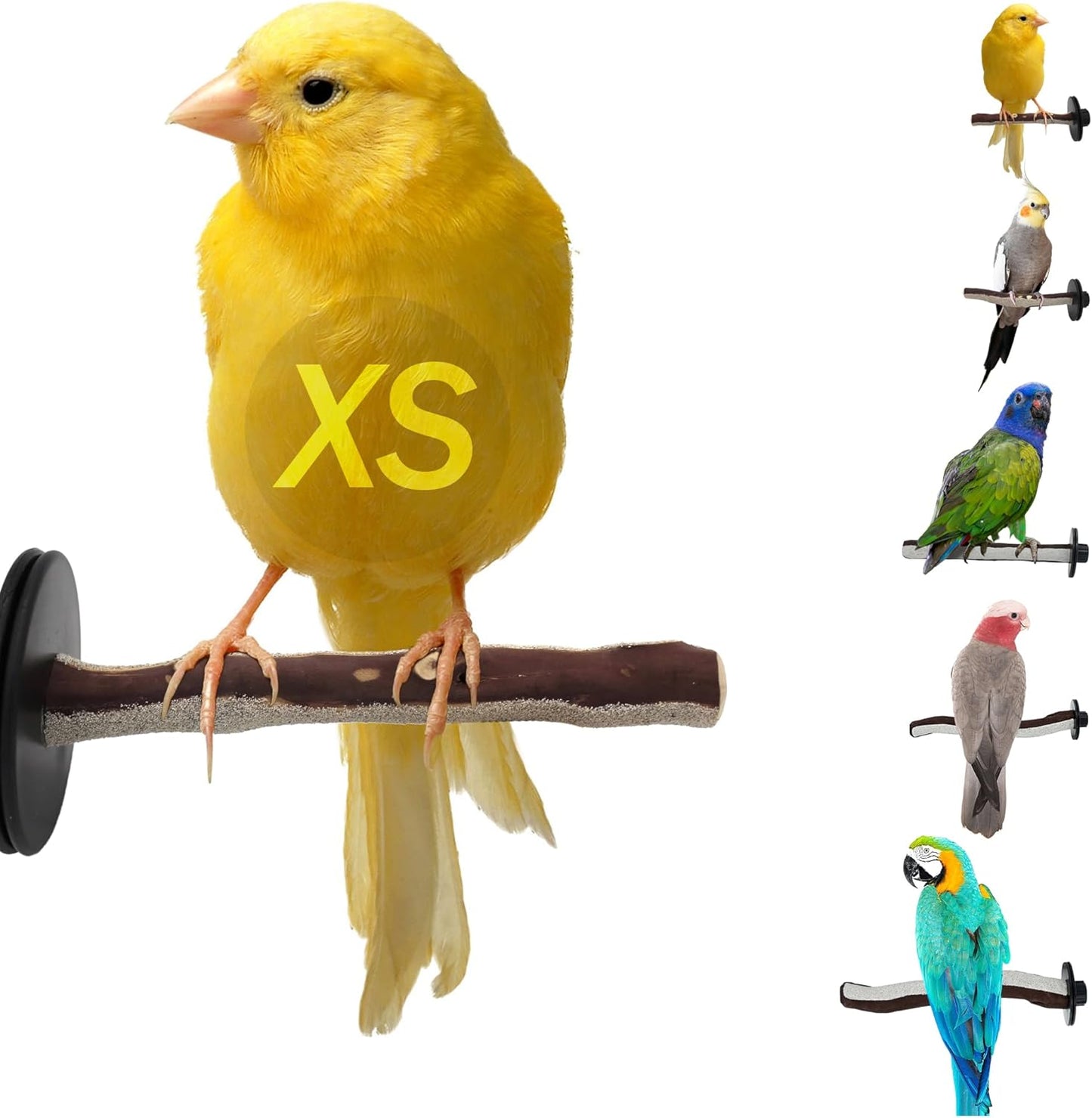 Superoost Manzanita Pumice Pedicure Perch- Easy to Install Bird Cage Accessories for Healthy Feet, Nails and Beak - Natural Bird Perches Imitates Birds' Life in The Wild - XS 8"