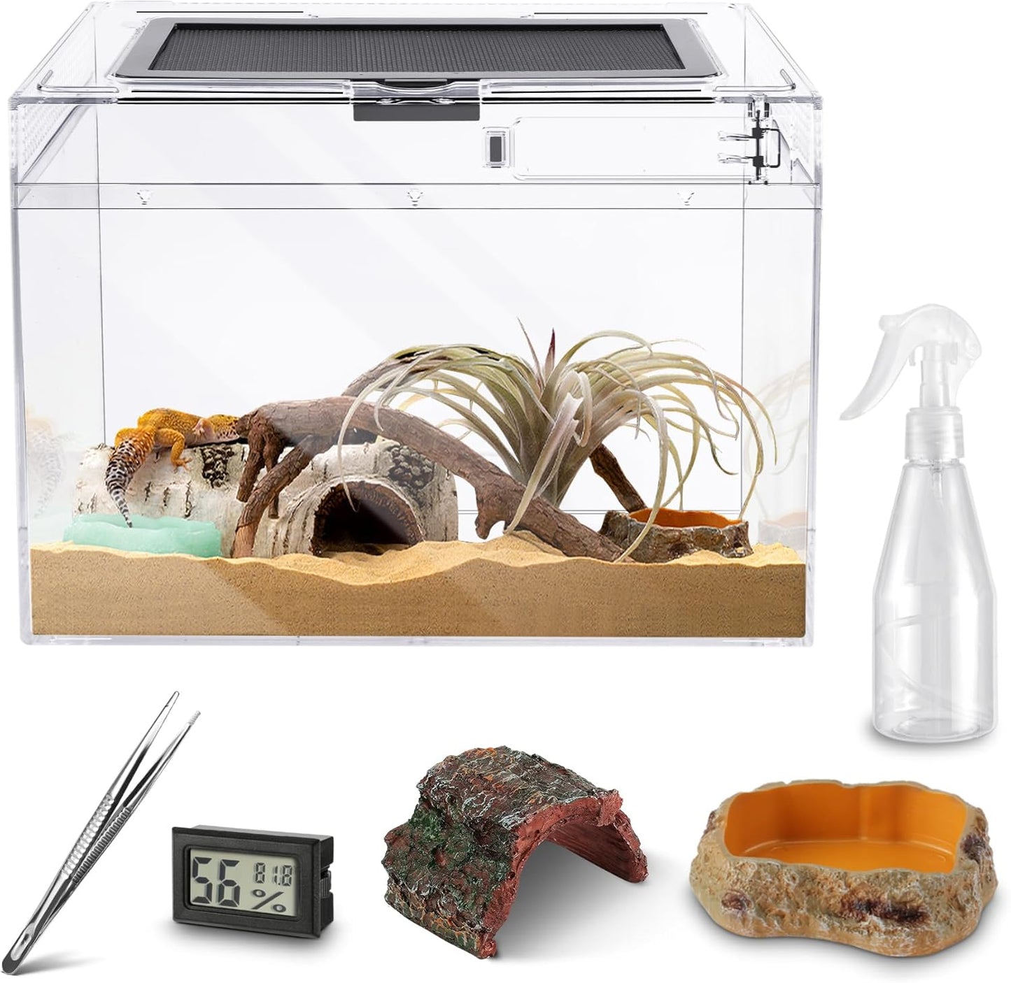 Reptile Terrarium Kit 12" x 7"x 9" Spider Tank Starter Tank, Leopard Gecko Tank, Tarantula Cage Hermit Crab Habitat, Lizard Enclosure, Insect Tank Kit, Jumping Spider Enclosure, Small Isopod Terrarium