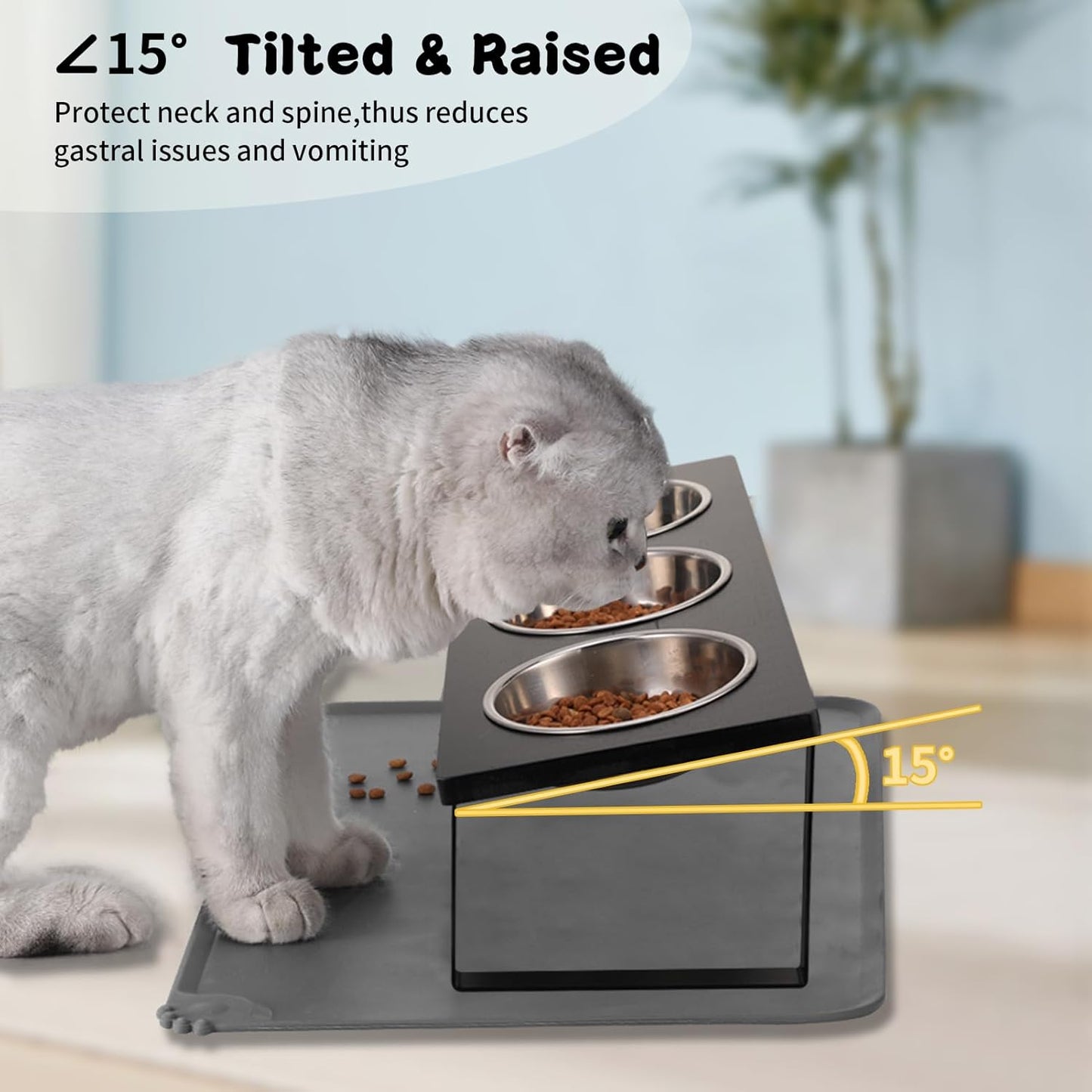 Upgraded Elevated Cat Bowls with Food Mat,15°Tilted Stand Anti Vomiting Raised Cat Dishes for Food and Water,3 Stainless Steel Bowls for Cats and Puppy（Black）
