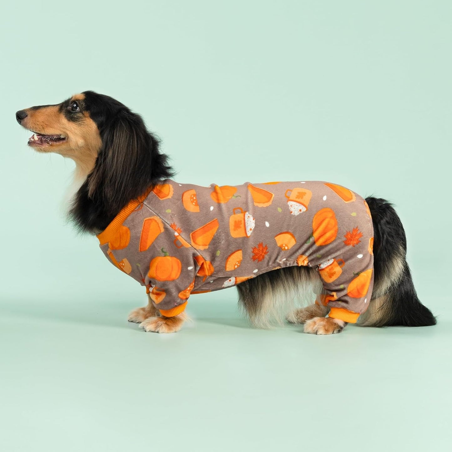 Fitwarm Pumpkin Dog Pajamas, Thanksgiving Outfit for Small Dogs Boy Girl, Pet Onesie, Brown, Orange, Large