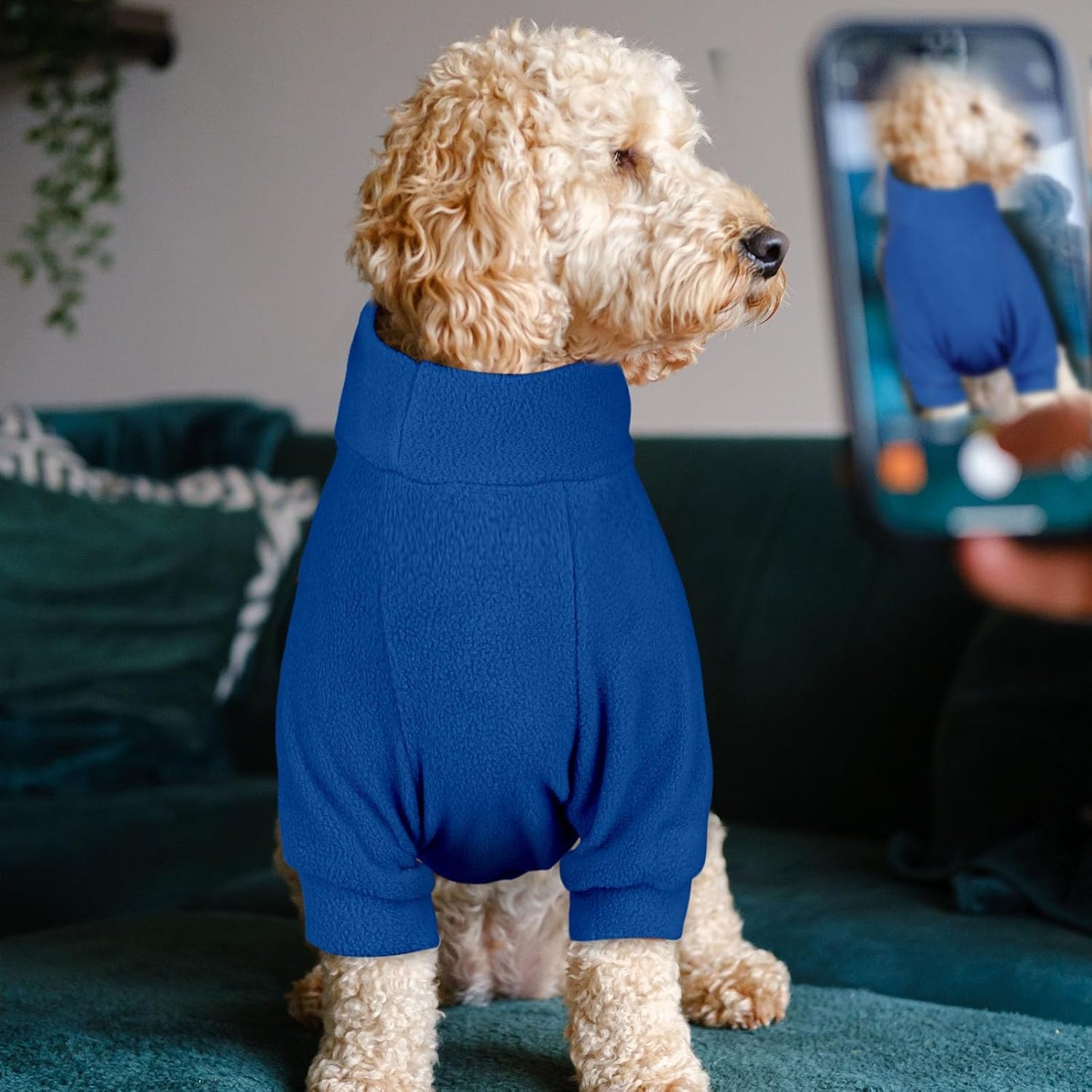 3 Pack Dog Sweaters for Small Dogs, Fleece Dog Sweater Pet Clothes Turtleneck Soft Warm Sweatshirt Puppy Sweater Boy Girl Pet(Gray+Royal Blue+Navy,S)