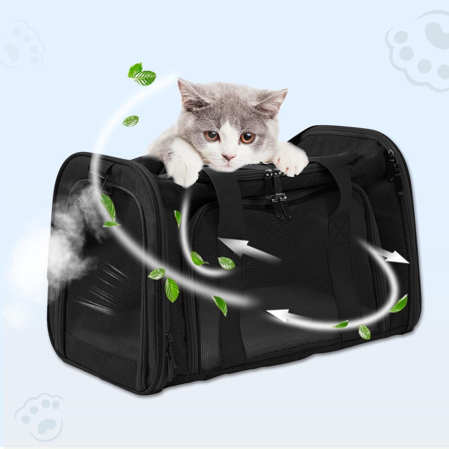 Roaringkitty Travel in Style: Portable Pet Carrier for Small Pets up to 15 Lbs- Airline Approved, Collapsible & Comfortable cat/Puppy Soft Sided Bag (Black)