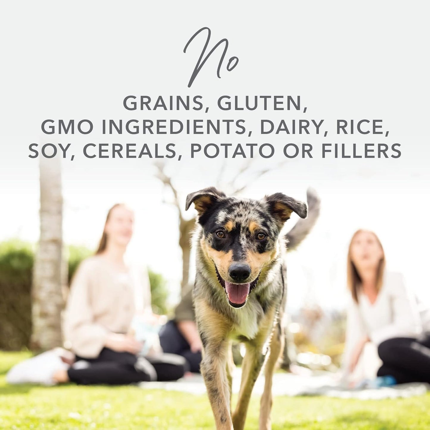 K9 Natural - Grain Free Freeze Dried Dog Food - Hoki & Beef, 4lb