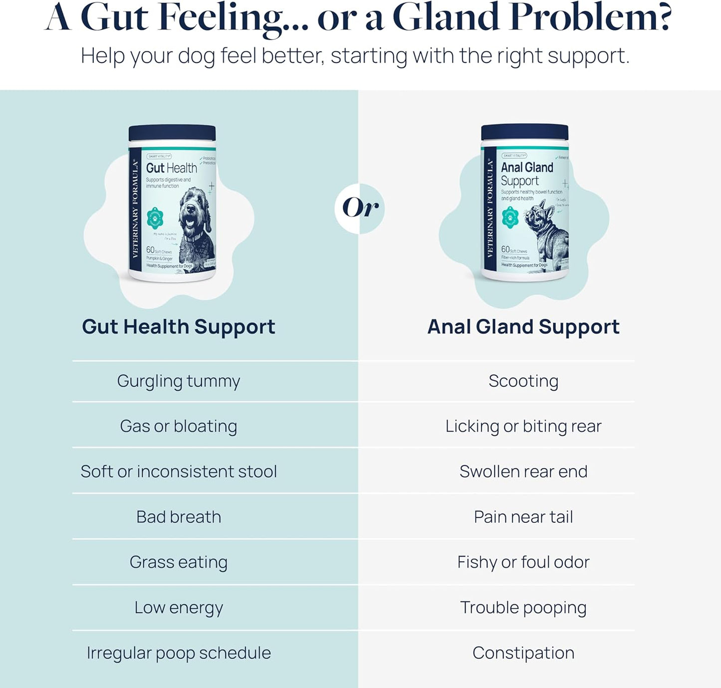 Veterinary Formula Gut Health Supplement for Dogs – Vet-Formulated Probiotic Chews with Digestive Enzymes & Fiber – Smart Vitality Supports Digestive Health, Gut Balance & Stool Quality, 60 Soft Chews