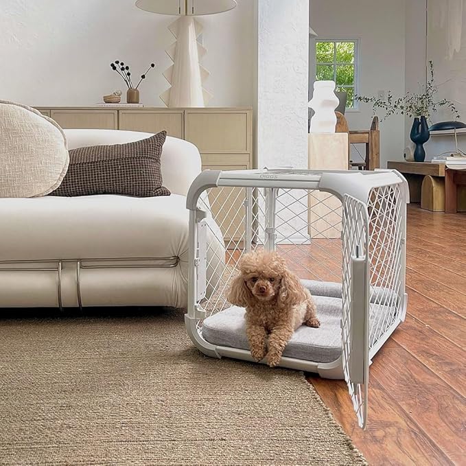 DIGGS Evolv Dog Crate - Slim, Durable Dog Kennel with Removable Ceiling Panel and Modular Design - Safe, Stylish, and Convenient (Ash, Small)