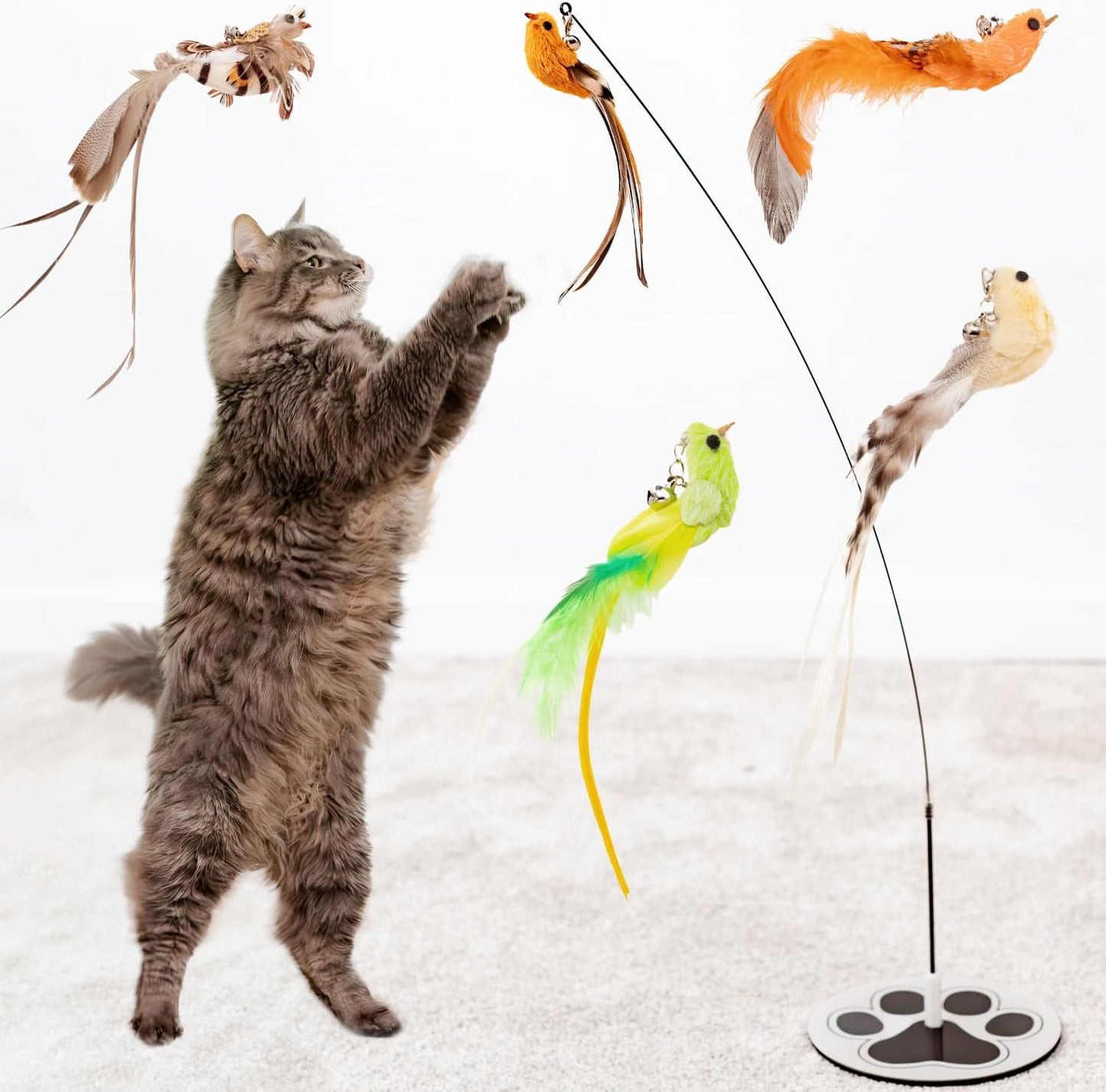 Interactive Bird Simulation Cat Toy Set for Bored Indoor Adult Cats Feather Toy Wand 5 Pcs Natural Bird Feathers Stable Round Base Wand Cat Toys for Indoor Cats Hunting Toys