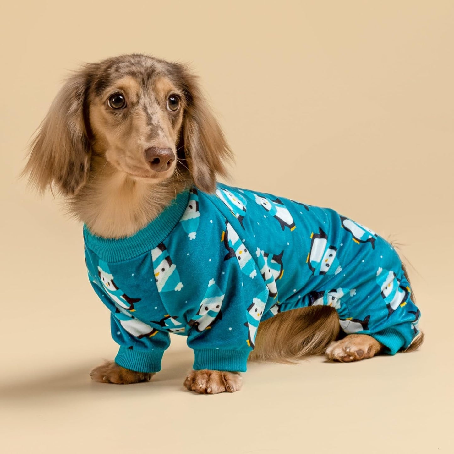Fitwarm Cute Penguin Dog Pajamas, Dog Winter Clothes for Small Dogs Girl Boy, Cozy Dog Onesie, Soft Pet Jammies, Doggy Apparel, Teal Blue, XL