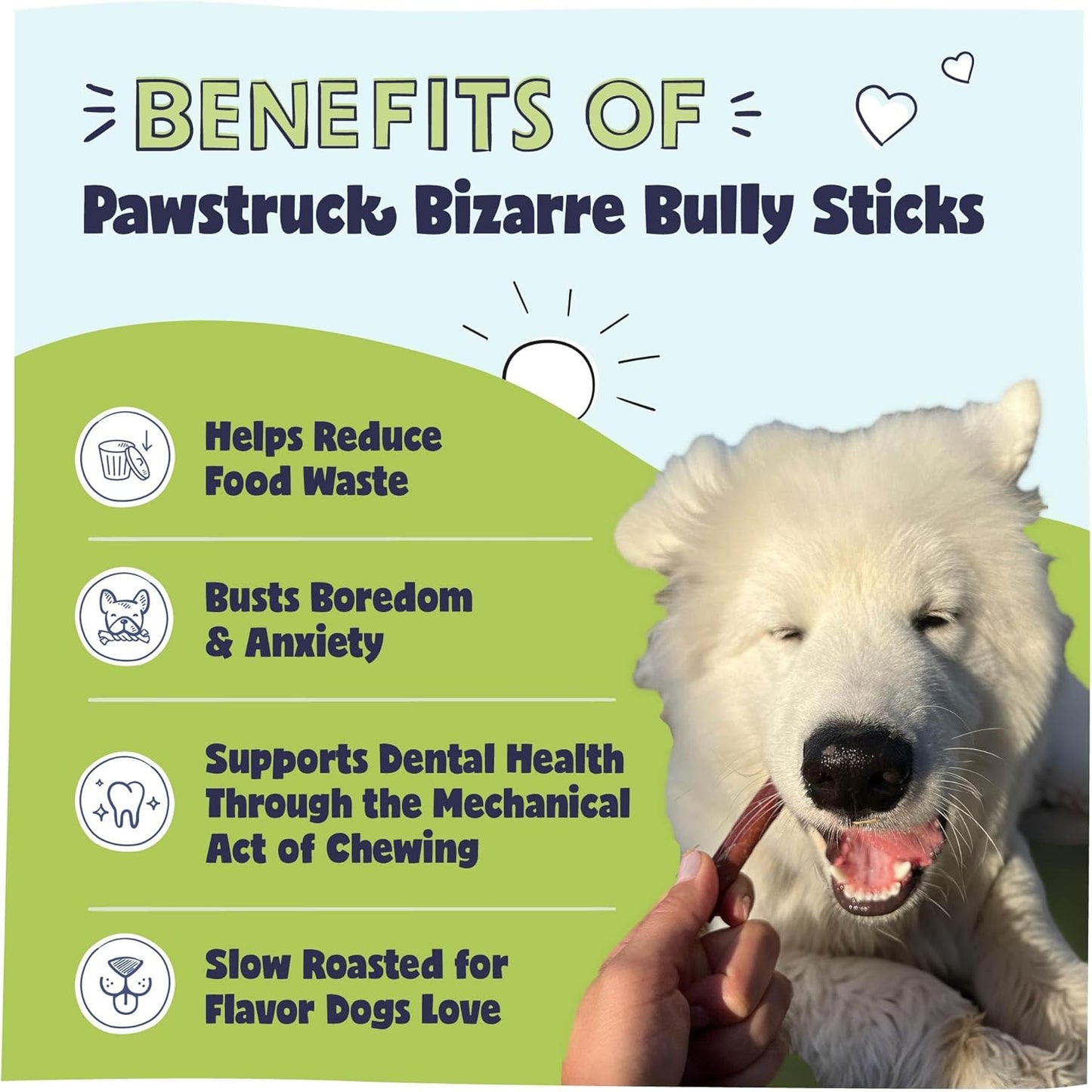 Pawstruck Natural Bizarre Bully Sticks Bargain Bag for Dogs & Puppies - Variety Pack of 8-12" Long Lasting Eco-Conscious Beef Chew Treats - 1 lb. Bag - Packaging May Vary