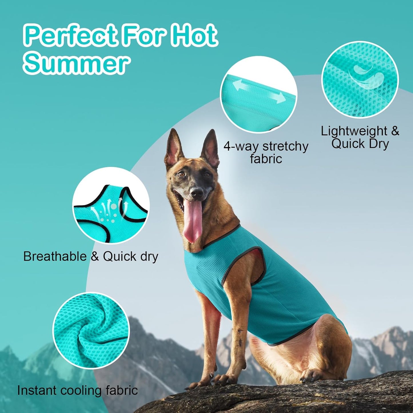 2 Pack Cooling Shirts for Dogs, Lightweight Mesh Breathable Dog Clothes for Small Dogs Boy Girl,Sun-Protection Sleeveless Shirts for Dog&Cat Puppy Vest Pet Apparel - S