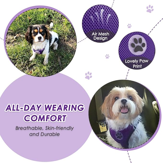 Lukovee Dog Safety Vest Harness with Seatbelt, Seat Belt Adjustable Pet Harnesses Double Breathable Mesh Fabric with Car Vehicle Connector Strap for Dog (Medium, Purple)
