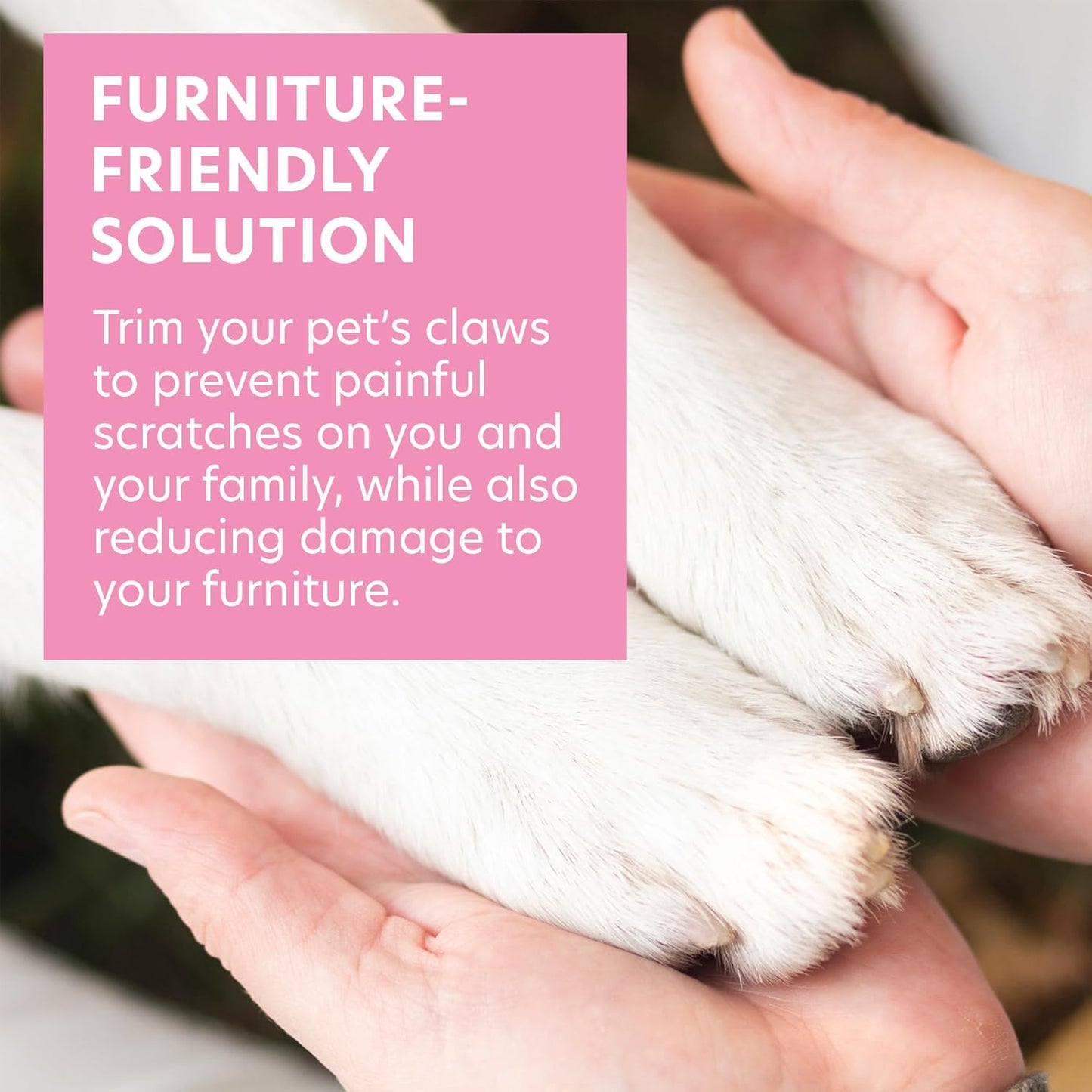 Bona Fide Beauty Pet Nail File with Swarovski Paw Print, Small Dog File Made from Genuine Czech Glass - Quiet, Gentle Claw Trimmer